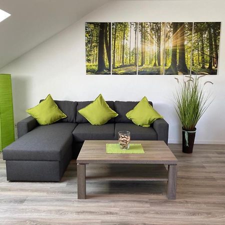 Ferienwohnung Frieda Mit Ueberdachtem Balkon Winterberg Esterno foto