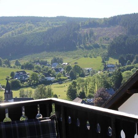 Ferienwohnung Frieda Mit Ueberdachtem Balkon Winterberg Esterno foto